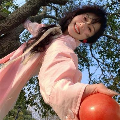 佛兰德斯的狗